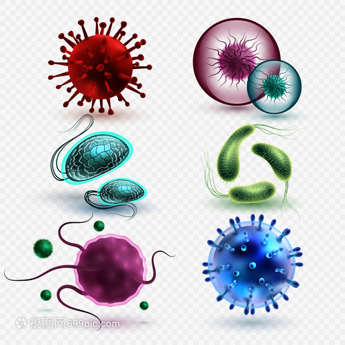 3D現(xiàn)實中的微生物與細(xì)菌 隔離、媒集與微觀世界的探索